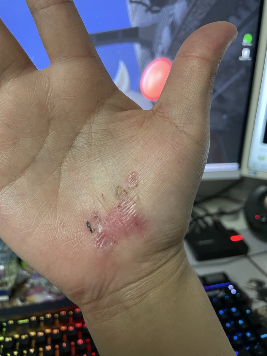 クリサリス tweet media