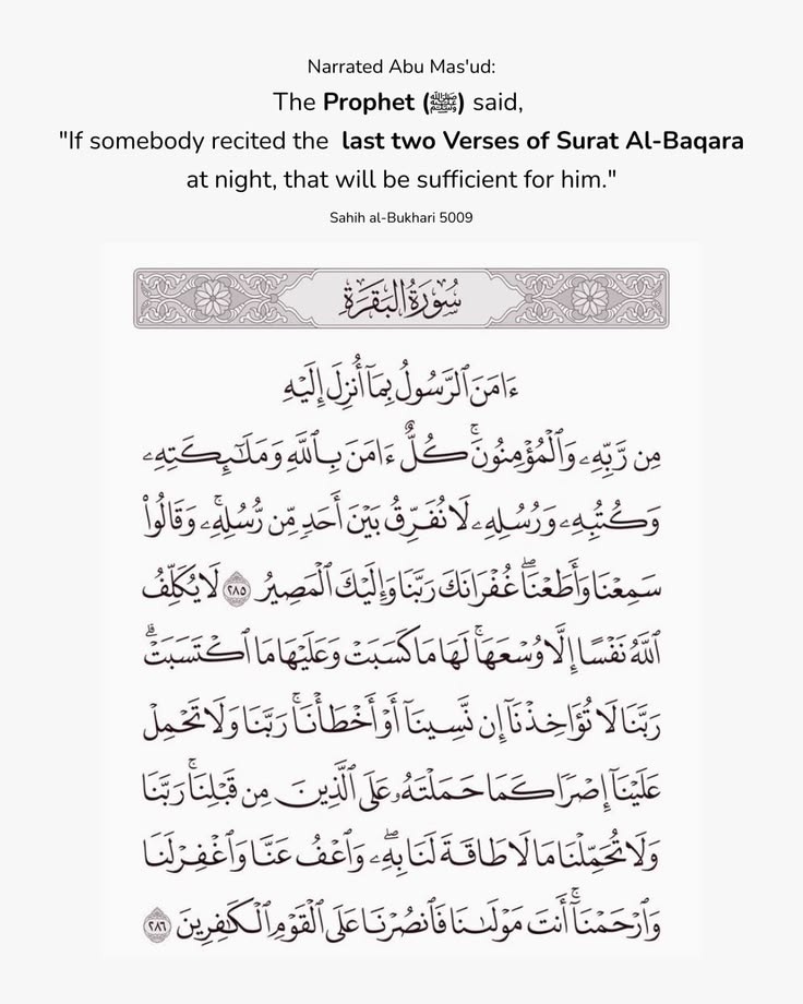 Mahdii_365's tweet photo. 📌 https://t.co/fIXRdwHCAe