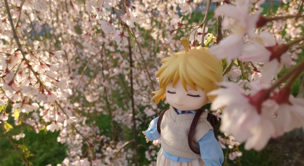 じぅめい tweet media