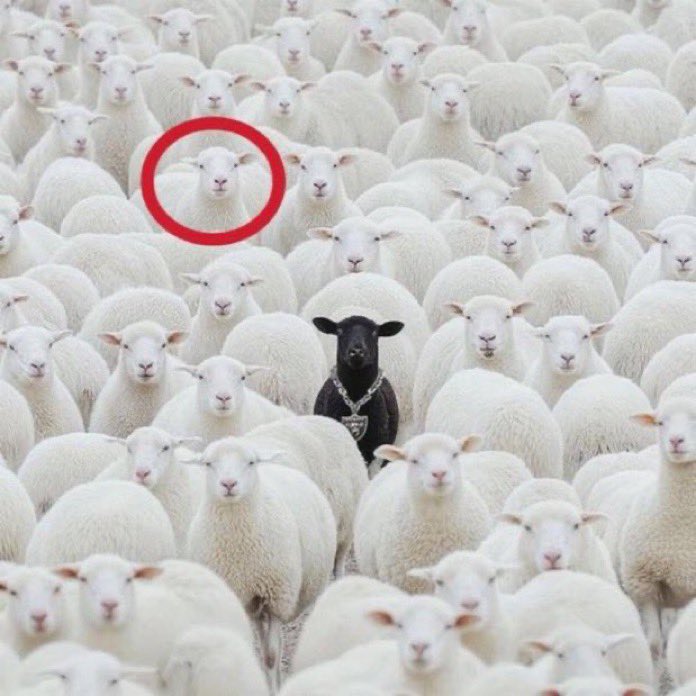 ana 🍊 tweet media