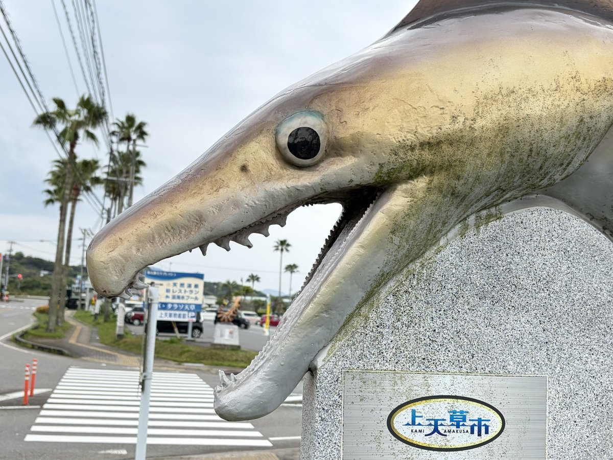 ままつこ tweet media