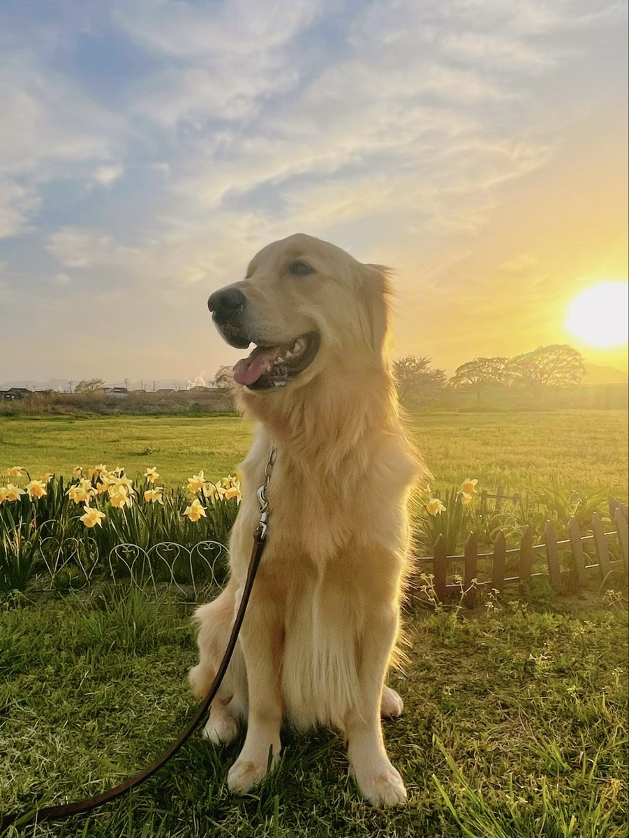 ぴーママ tweet media