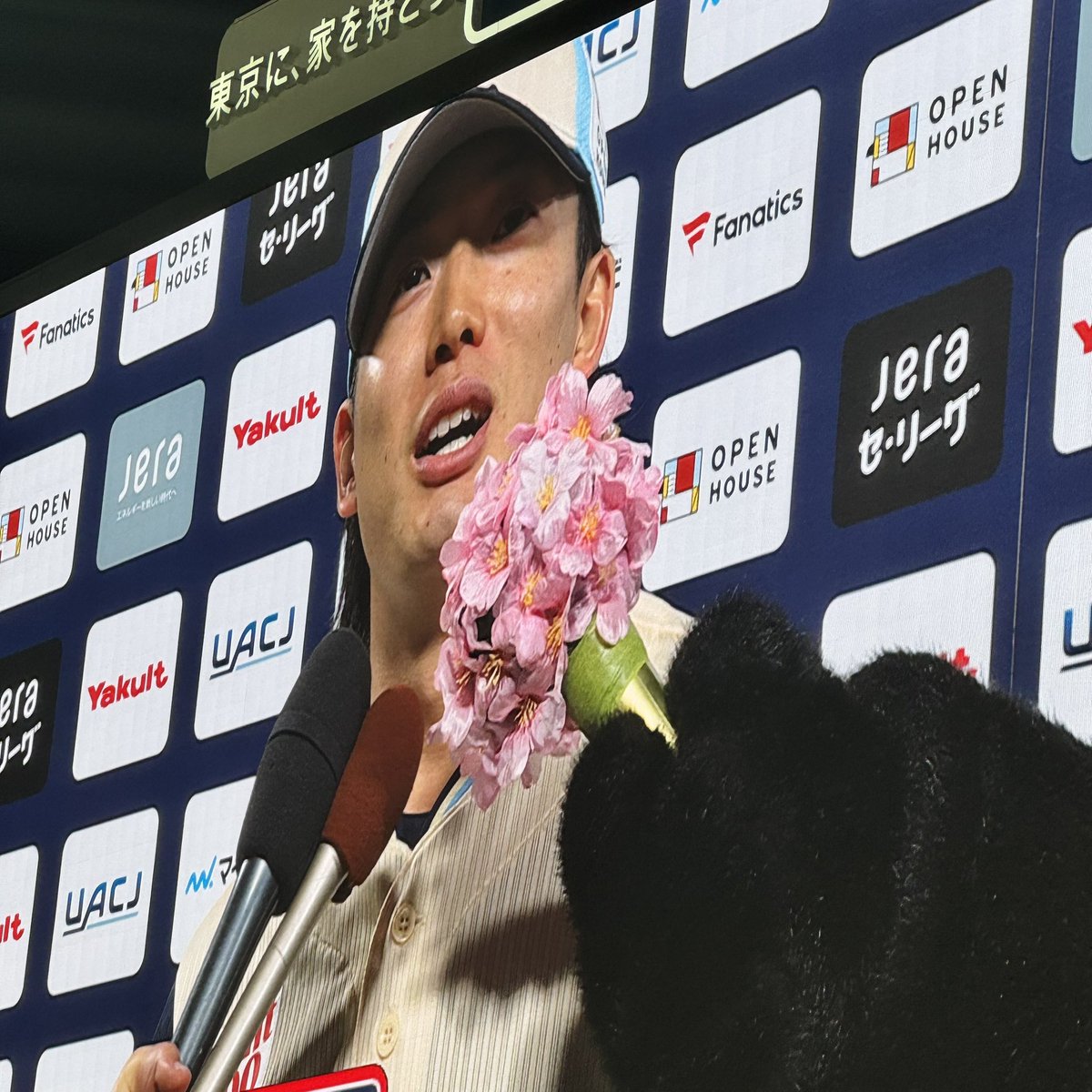 𝑴𝒐𝒓𝒊𝒌𝒆𝒏@ｽﾜﾛｰｽﾞを勝手に応燕 tweet media