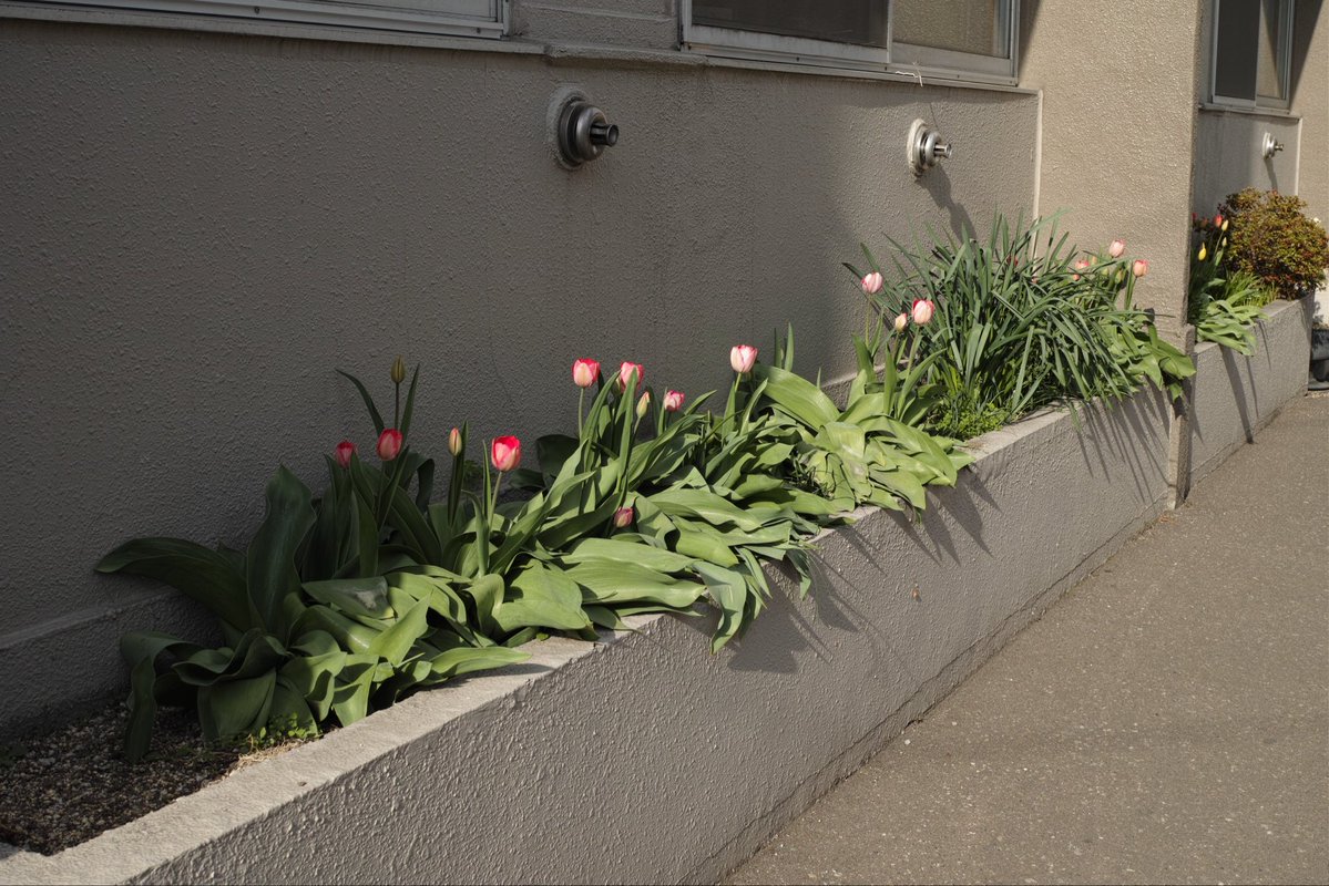 blicero (@sugesami) on Twitter photo 