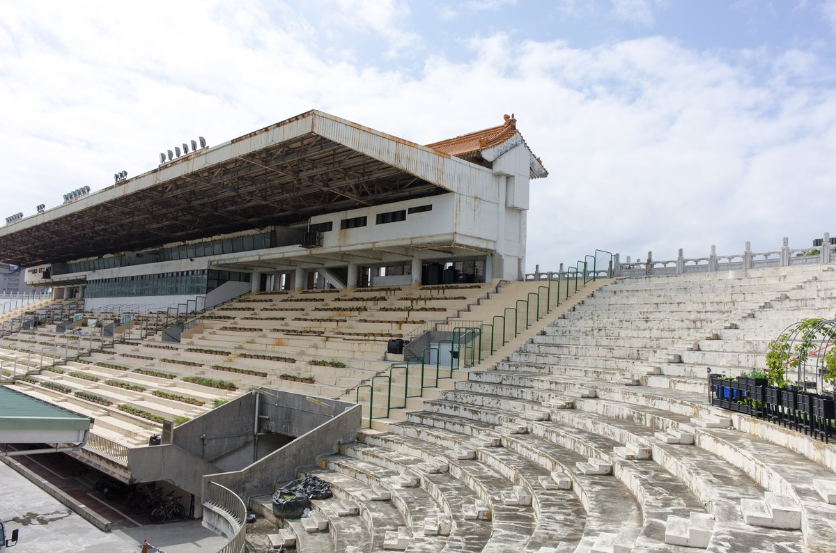 Lusca Fusca tweet media