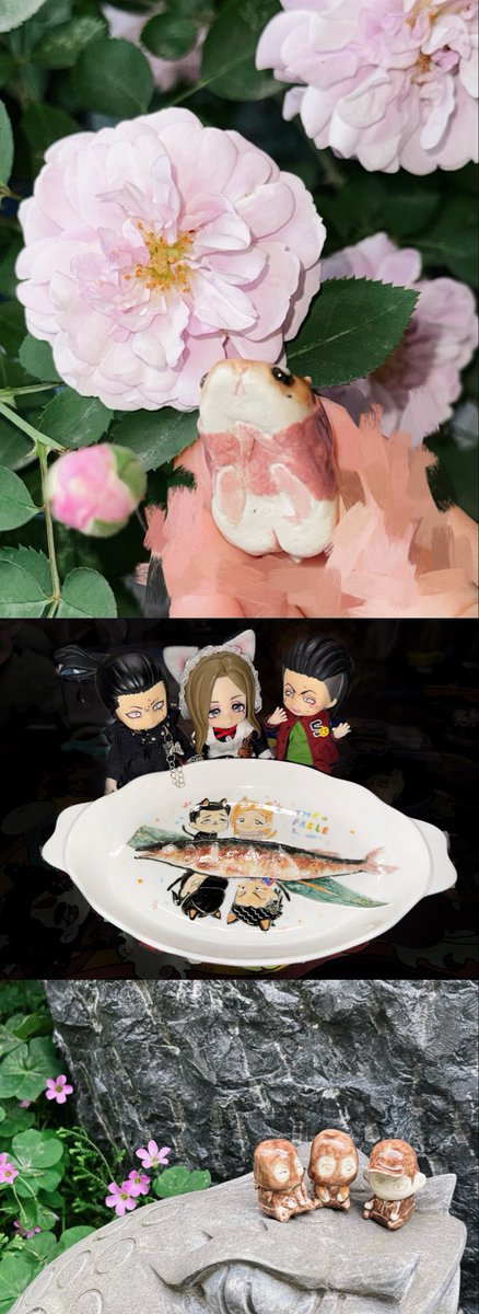 AAA_太平市龙舌兰批发 tweet media