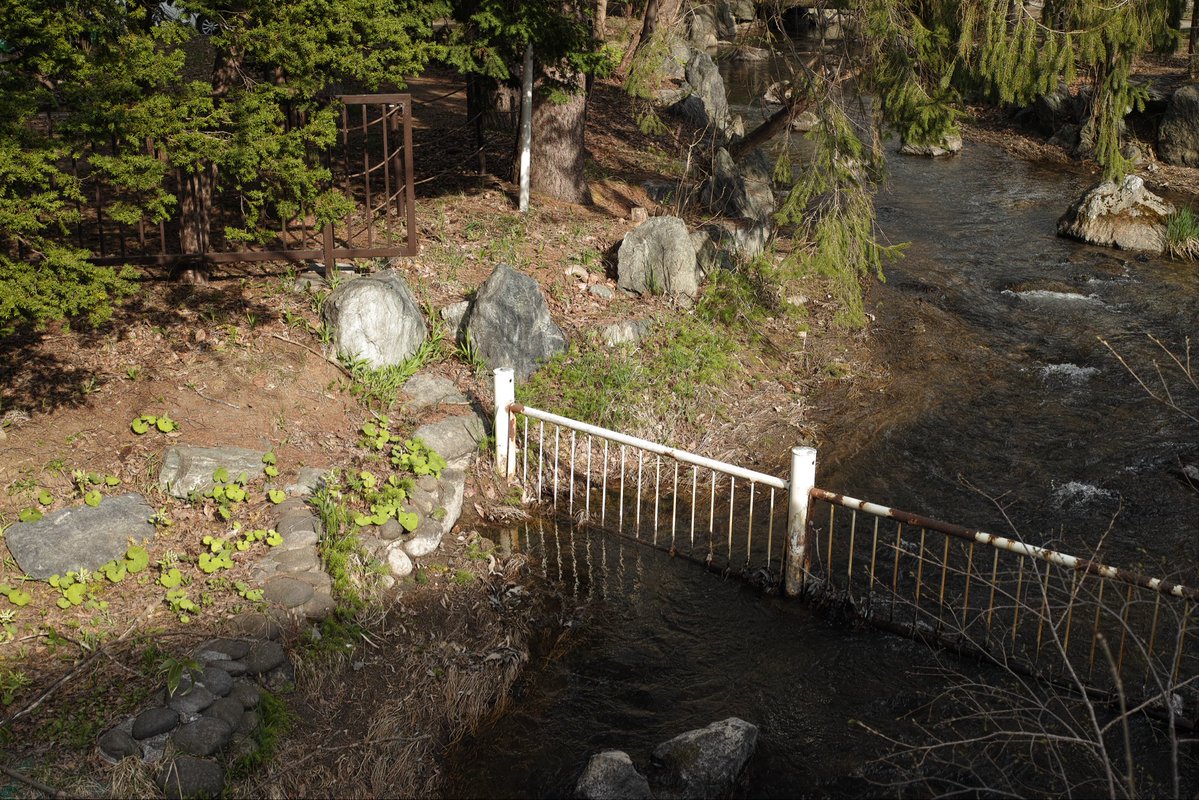 blicero (@sugesami) on Twitter photo 