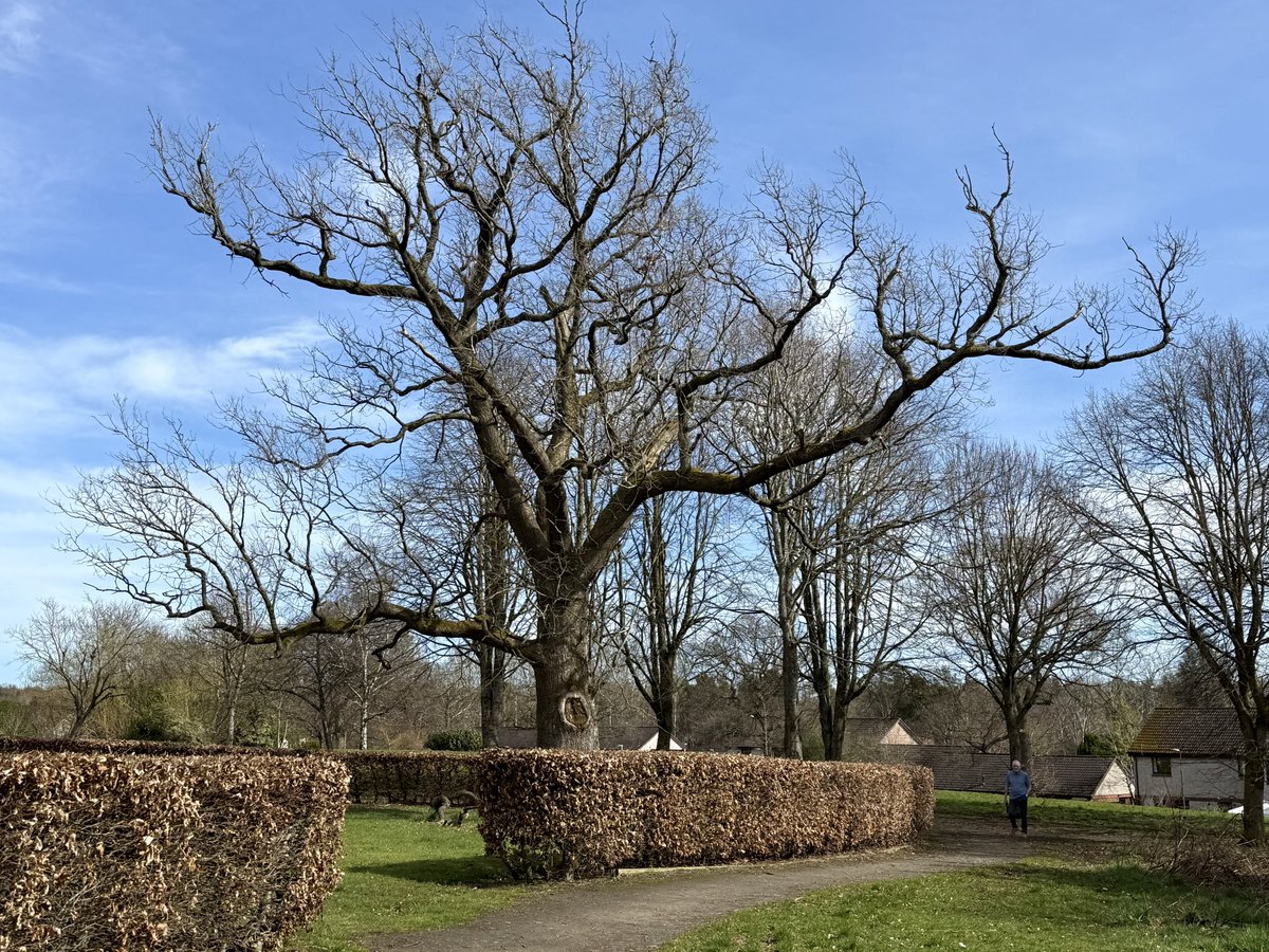 ElleBeePhotos's tweet image. Wishing everyone the best possible weekend.

I haven't been out in nature for over a week, but I hope you find these new photos from my last walk to be as peaceful &amp;amp; calming as I did.

Thank you all for your support, patience &amp;amp; kindness. 🙏

#landscapephotography #NatureTherapy