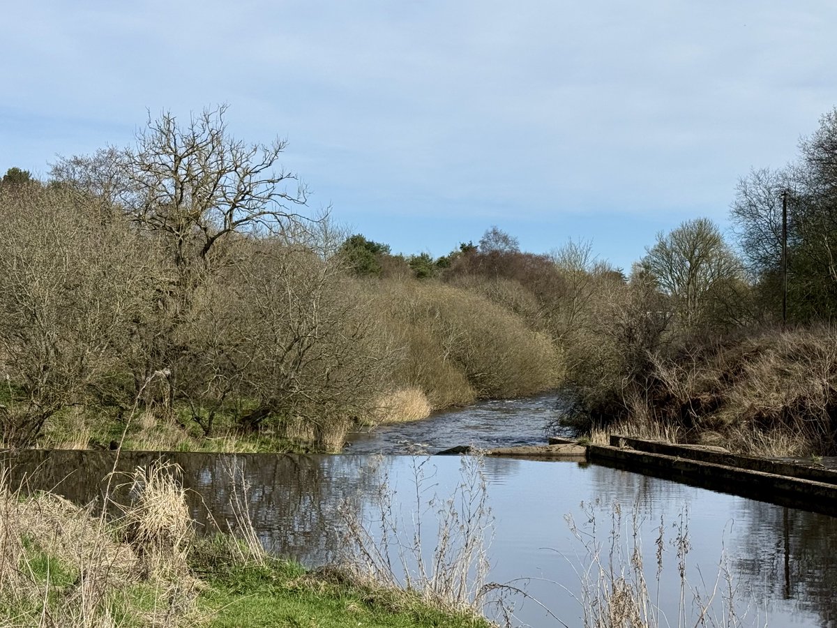 ElleBeePhotos's tweet image. Wishing everyone the best possible weekend.

I haven't been out in nature for over a week, but I hope you find these new photos from my last walk to be as peaceful &amp;amp; calming as I did.

Thank you all for your support, patience &amp;amp; kindness. 🙏

#landscapephotography #NatureTherapy