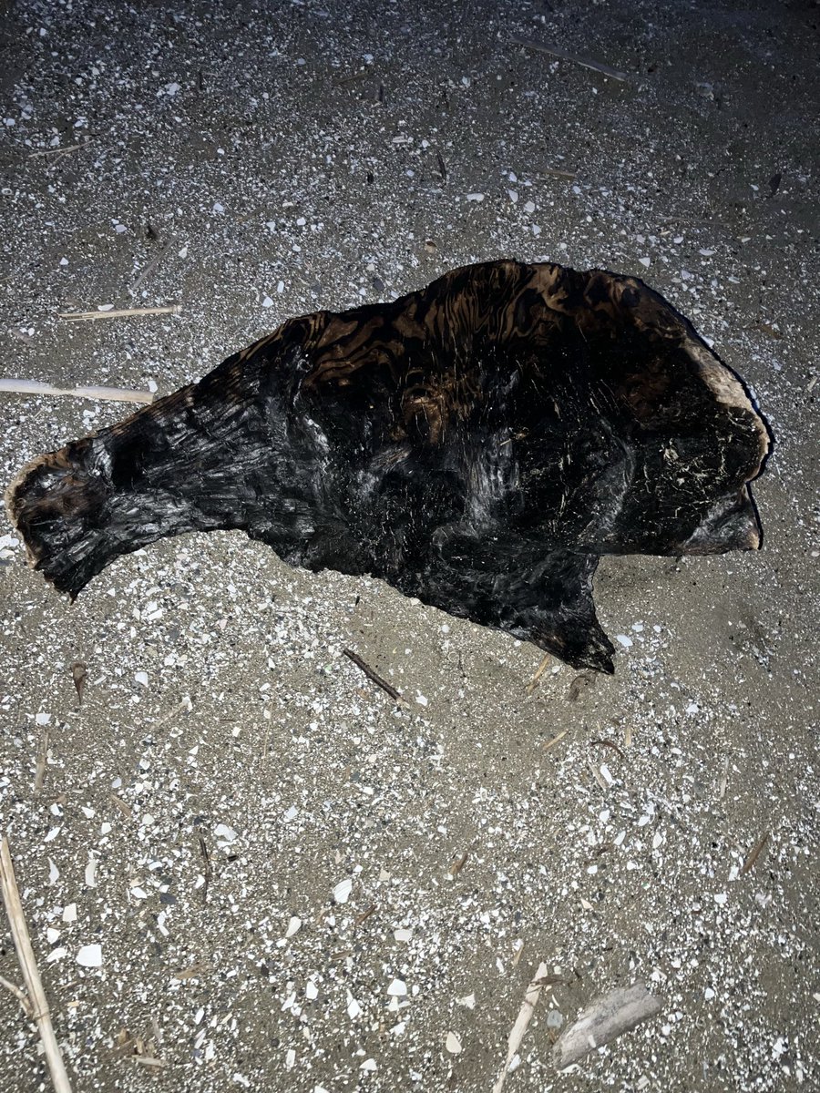 イッセー tweet media