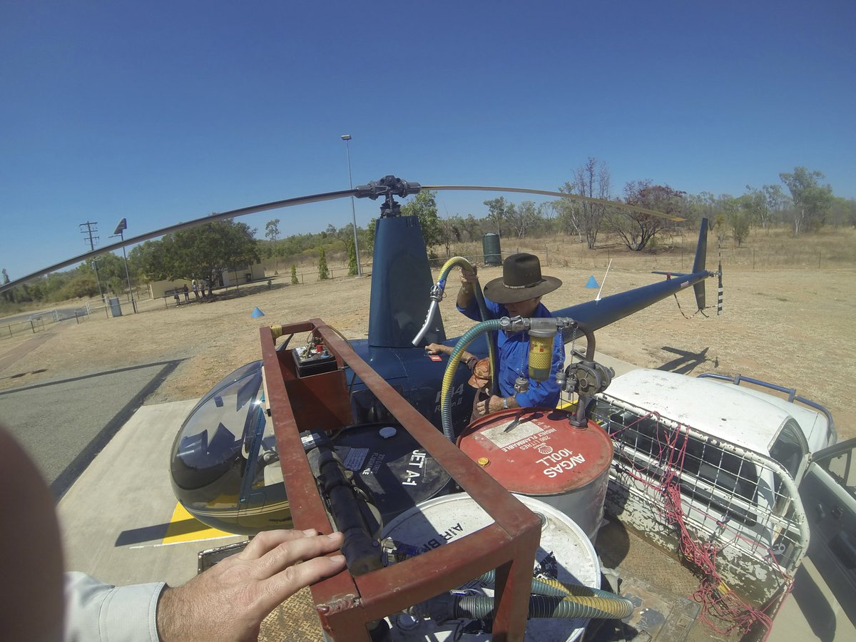 Aussie HEX tweet media