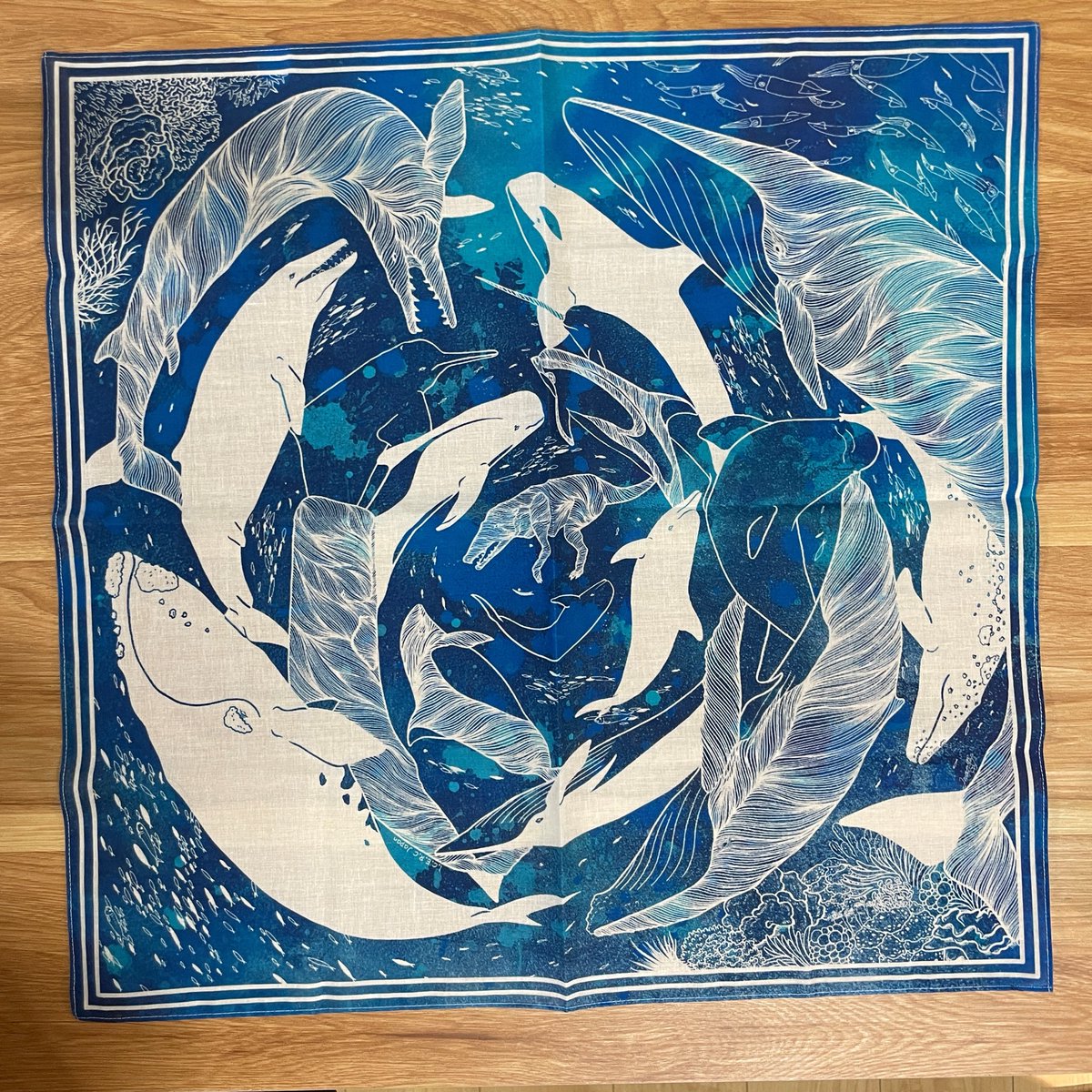 繁田穂波|shigeta honami tweet media