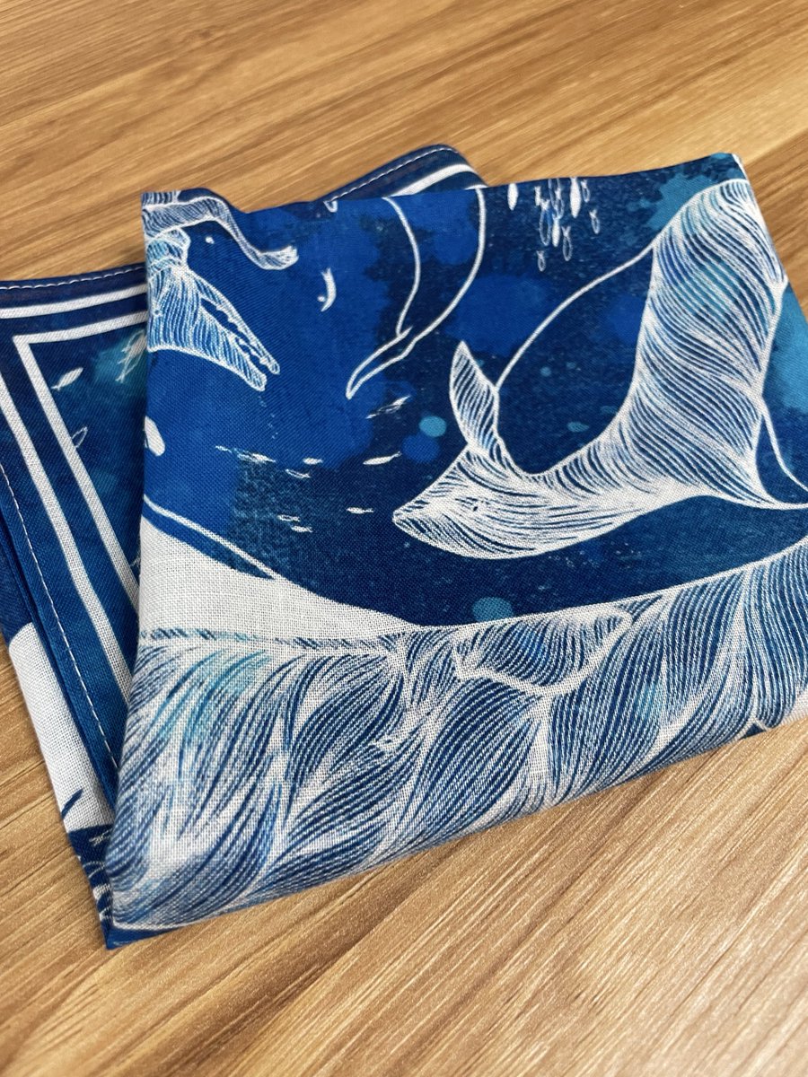 繁田穂波|shigeta honami tweet media