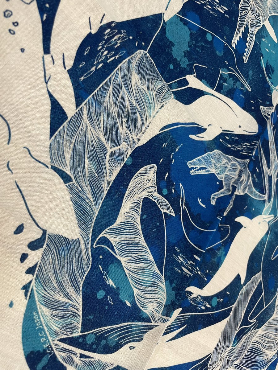 繁田穂波|shigeta honami tweet media