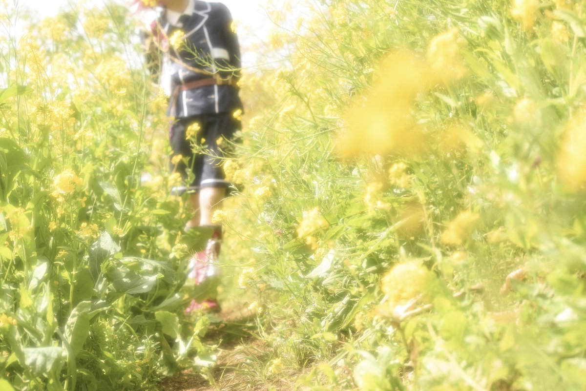 cos 刀剣乱舞 後藤藤四郎

春のほうへ

photo <a href="/tatete_/">たたて</a>