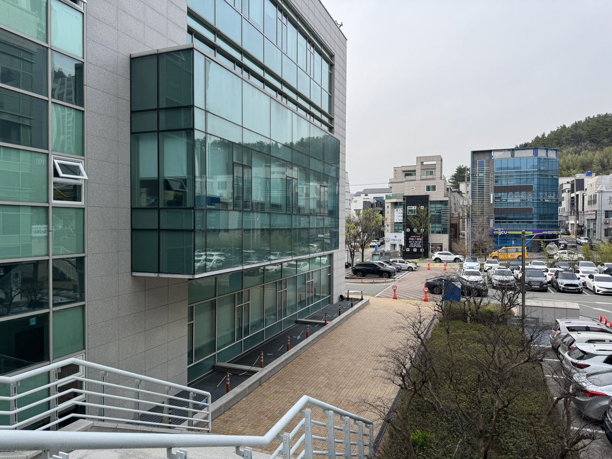 OneSpringNight tweet media