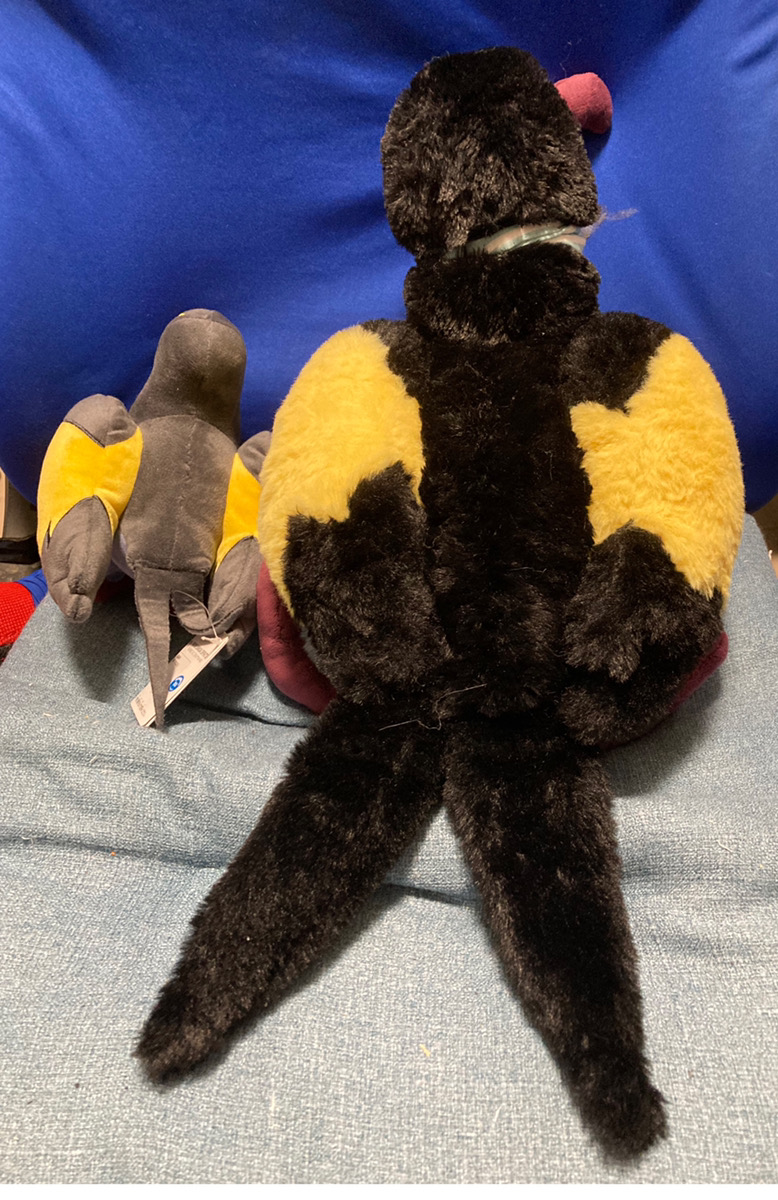 去年、公式でまだポケモンのタイカイデンのぬいぐるみが無い時に自作しました。右側のやつです。小さいのは後に出た公式。
#ポケモン手芸部