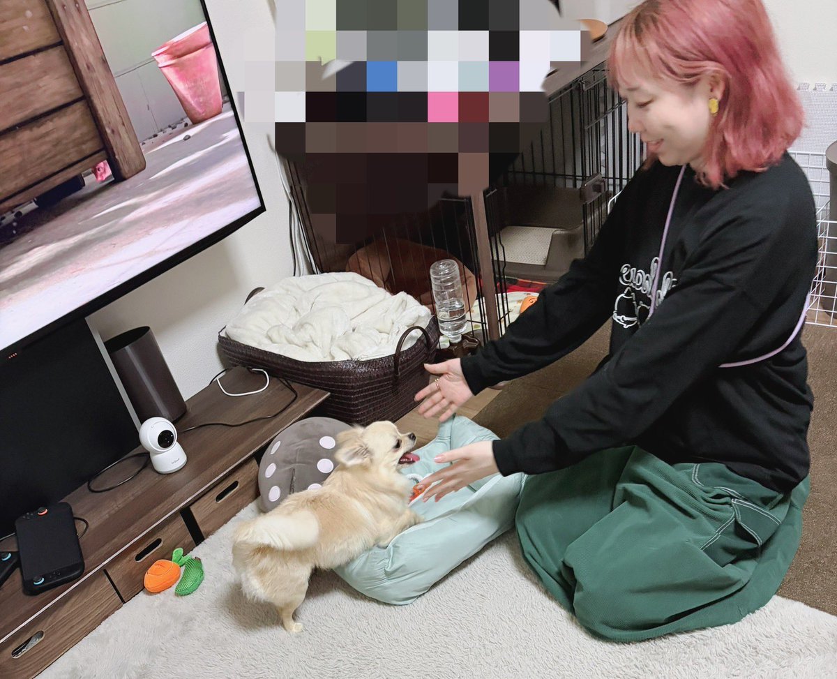 Ayaライオットモモ🍑 tweet media