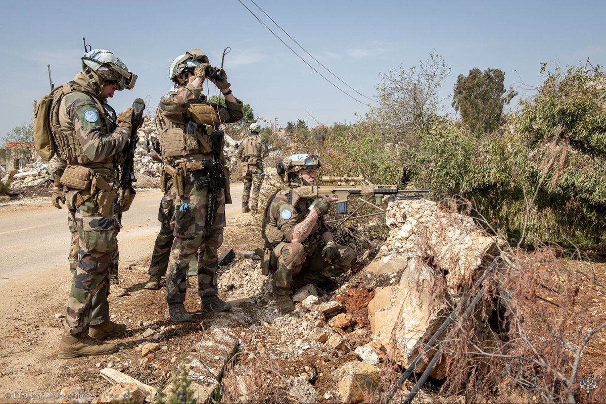 Novia News tweet media