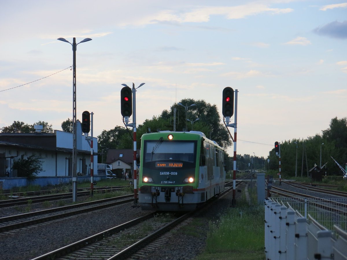 Komi🏳️‍⚧️🇵🇸🔻 tweet media