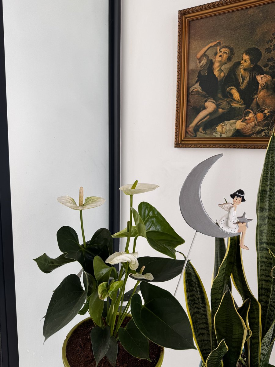 dandmgreetings's tweet photo. Where Plants Meet Handmade Art
Turning everyday corners into little galleries of life, Handmade wooden touches, soft greens, and a hint of imagination, because art doesn’t stop on canvas, it lives in every detail of home.
#HomeArt #IndoorPlants #HandmadeDecor #ArtisticLiving https://t.co/isj5052eRm