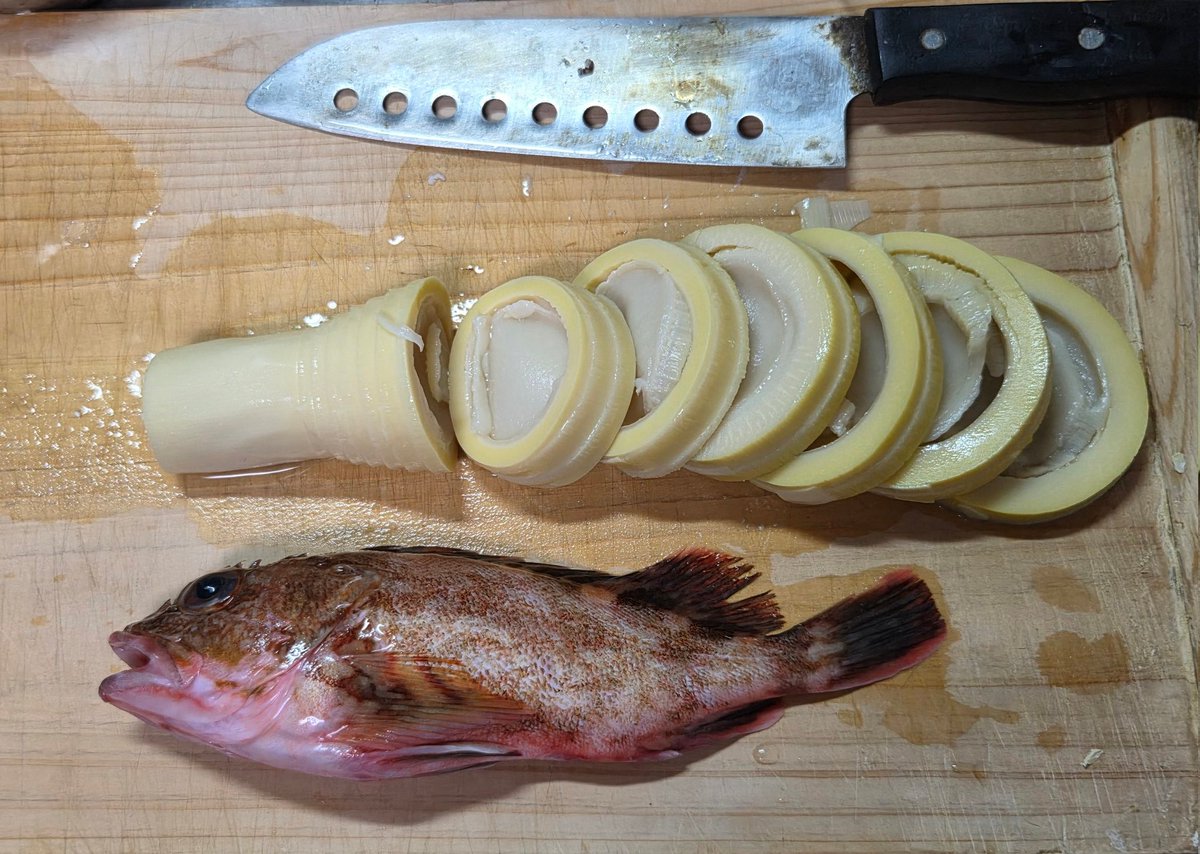 はらちゃん tweet media