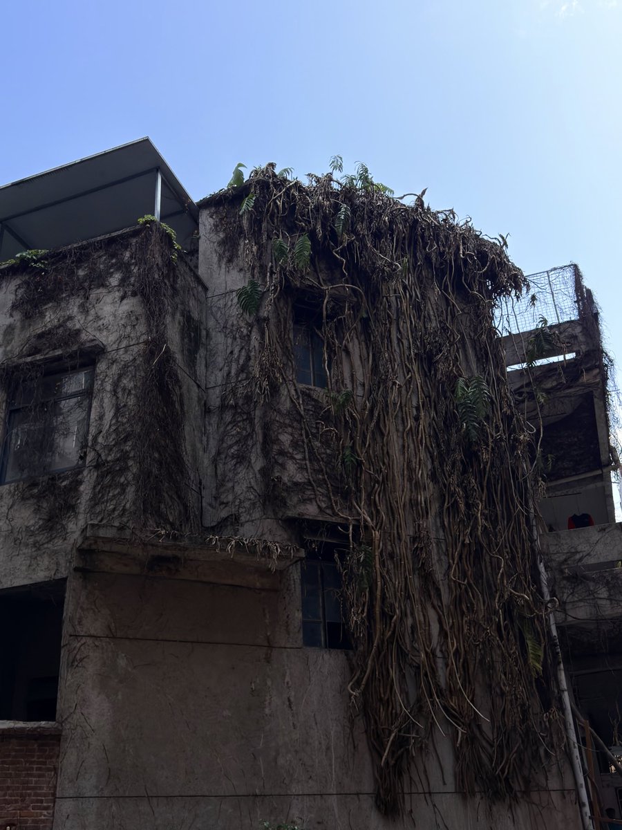 椒糖拿铁 tweet media