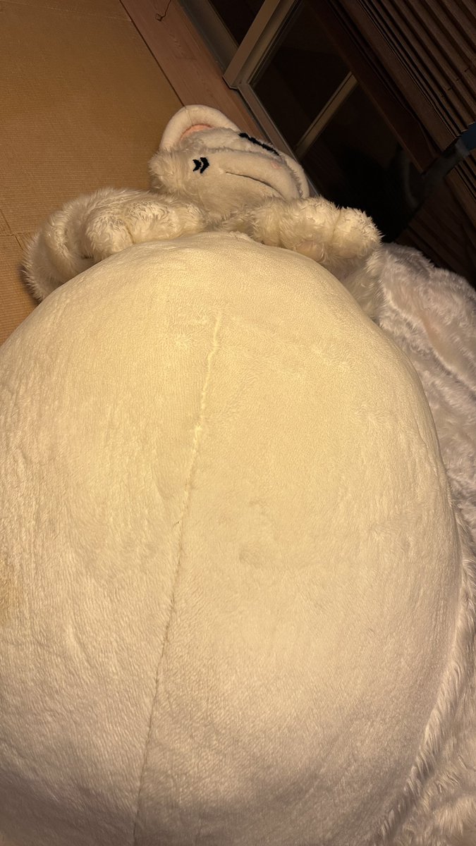 コトラ@ウィッセル&アルミラ&エコー　NEXT : tweet media