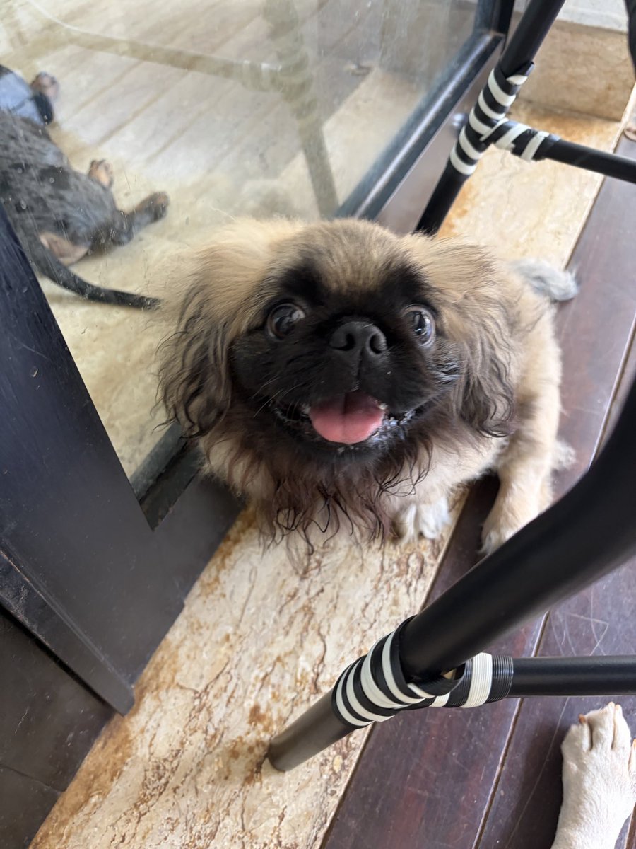 Mr N 独孤求敗 tweet media