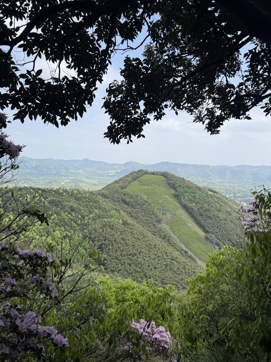 Captain_Oreo tweet media