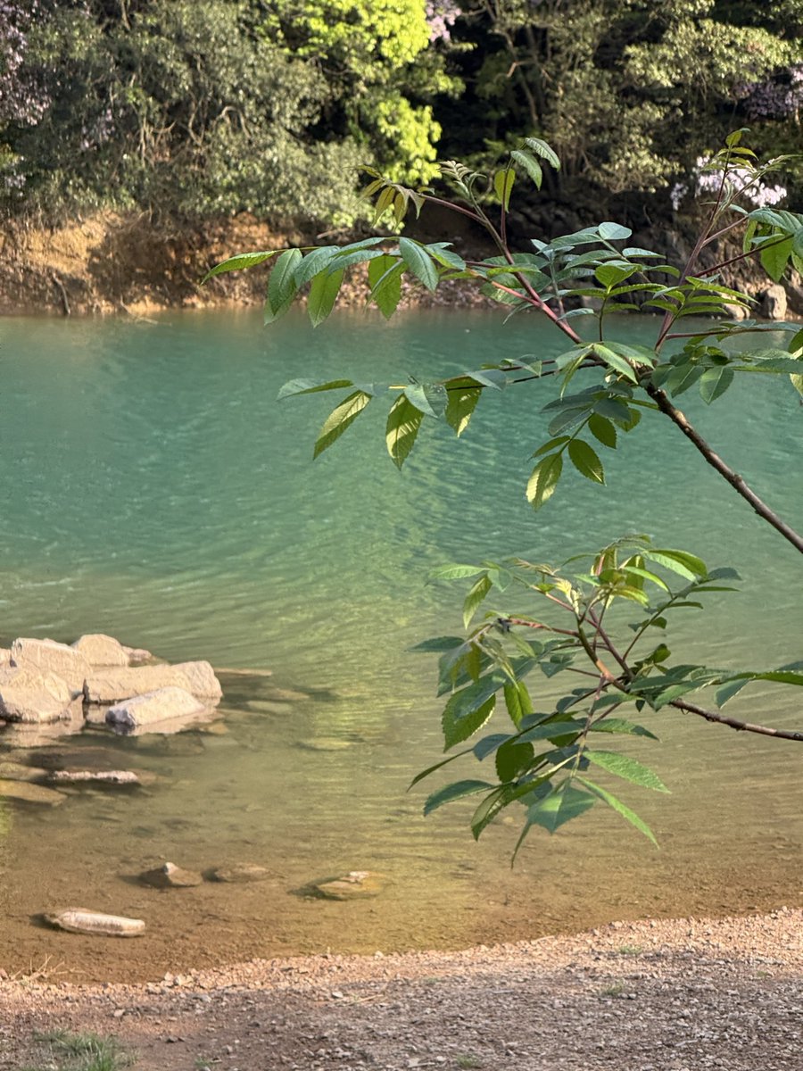 Captain_Oreo tweet media