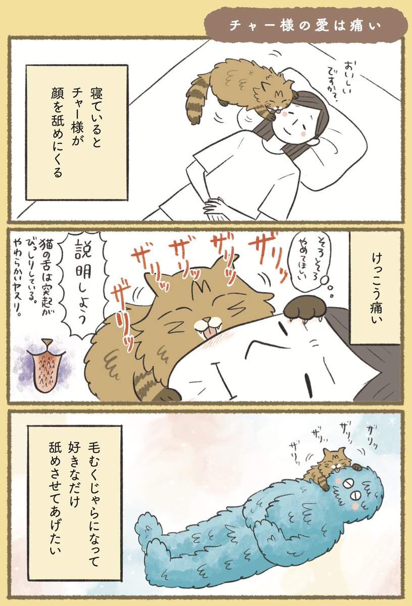 チャー様の愛は痛い