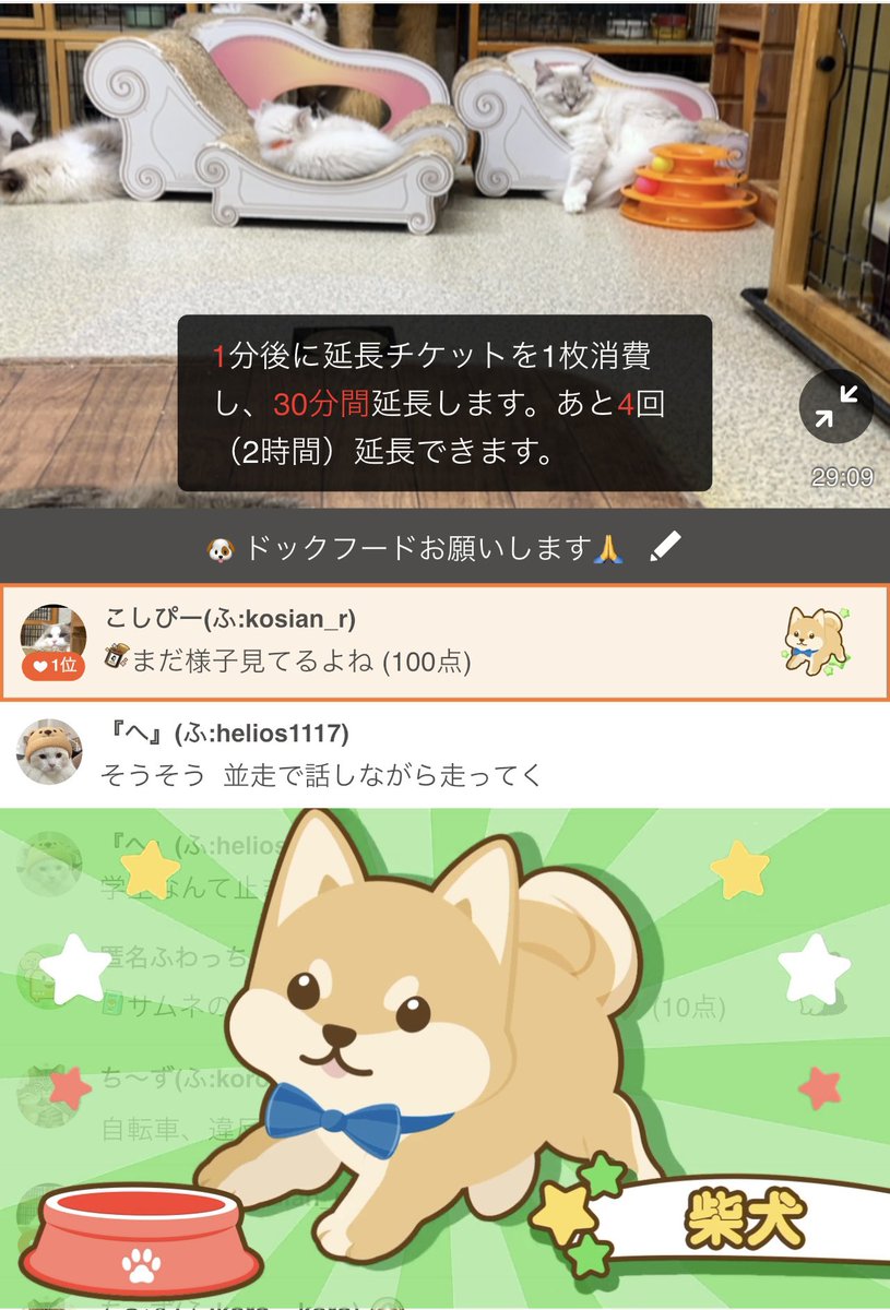 Ryoko❦ tweet media