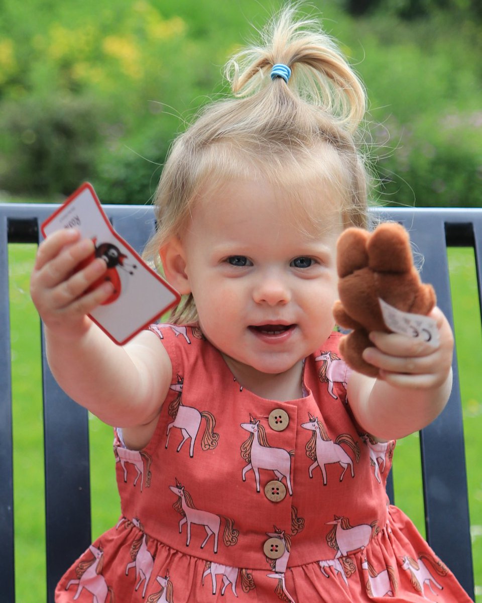 Green Bean Collection tweet media