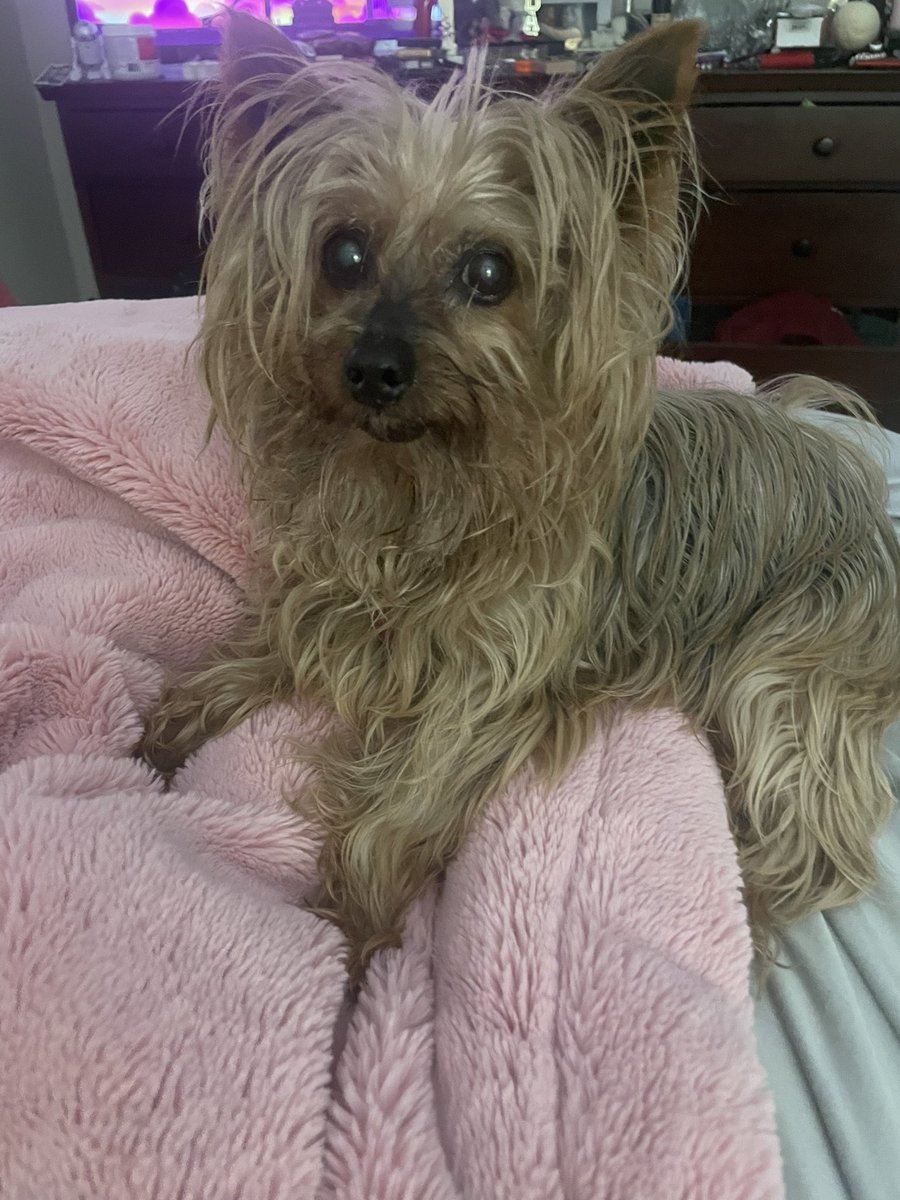 Rachael Depp  tweet media