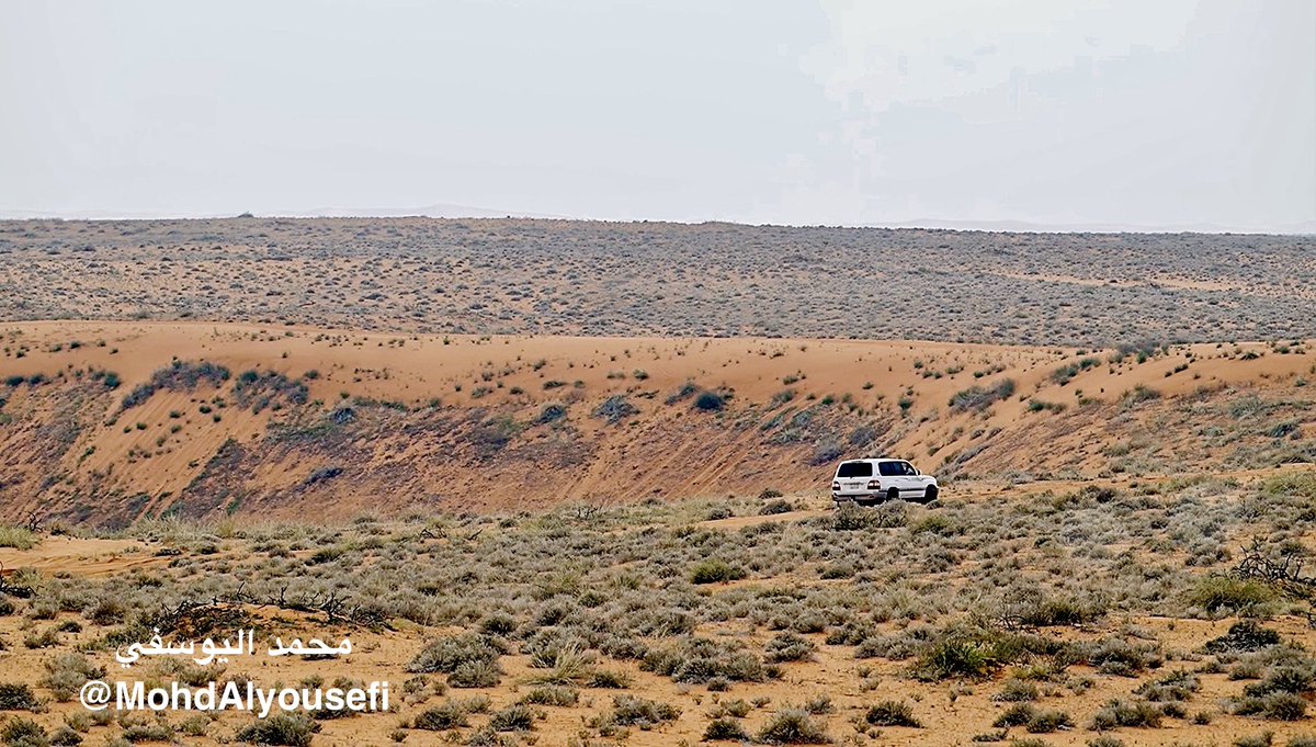 محمد اليوسفي tweet media