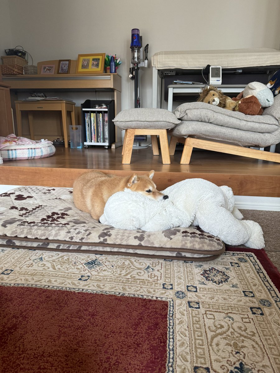 昨日からフード拒否😬