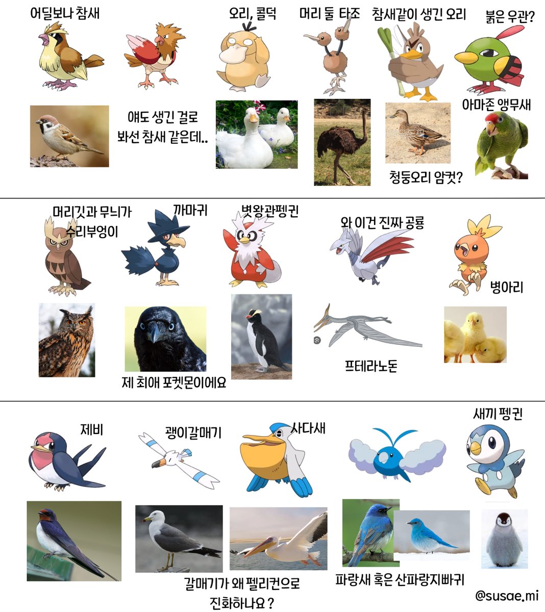 susae_mi's tweet photo. 재미로 해본 새 포켓몬 외관만 보고 원종 맞추기 https://t.co/JxuTOmrv5f