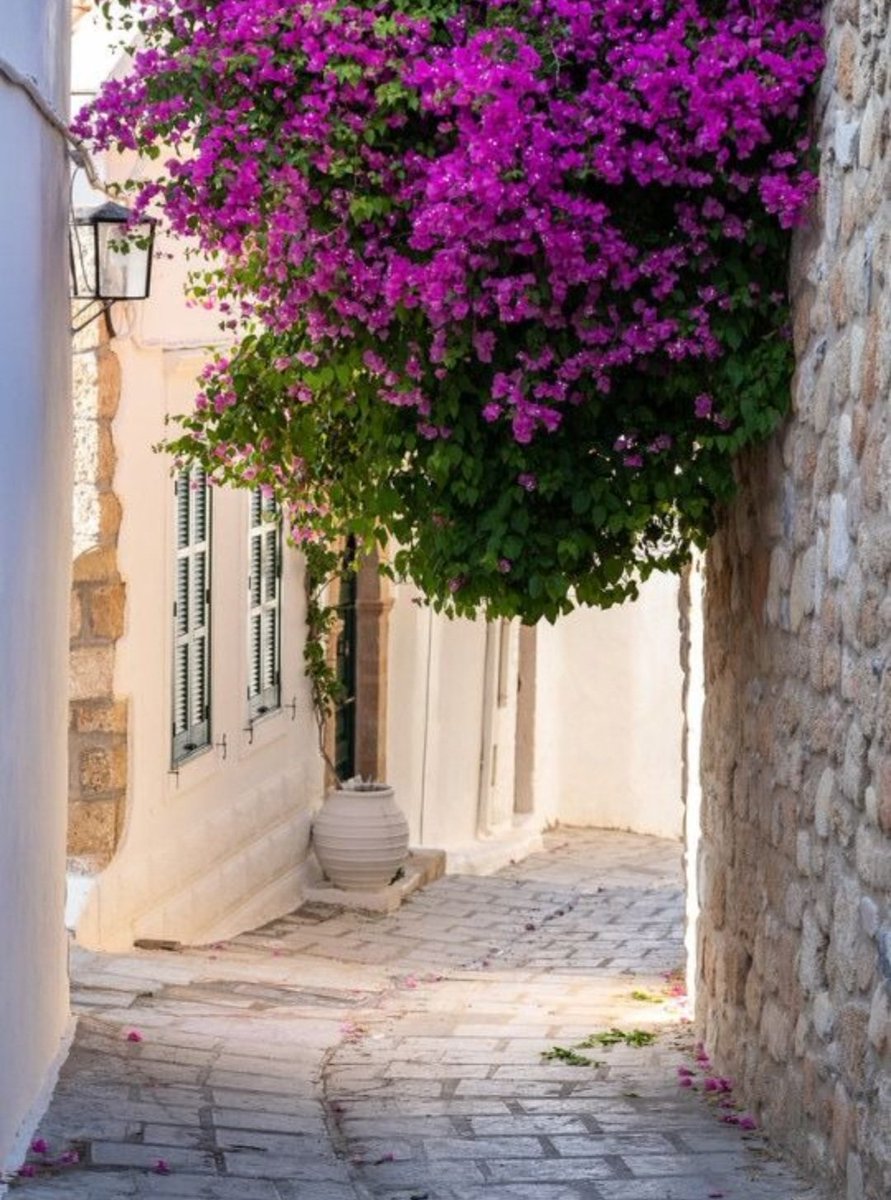 Μουργος tweet media