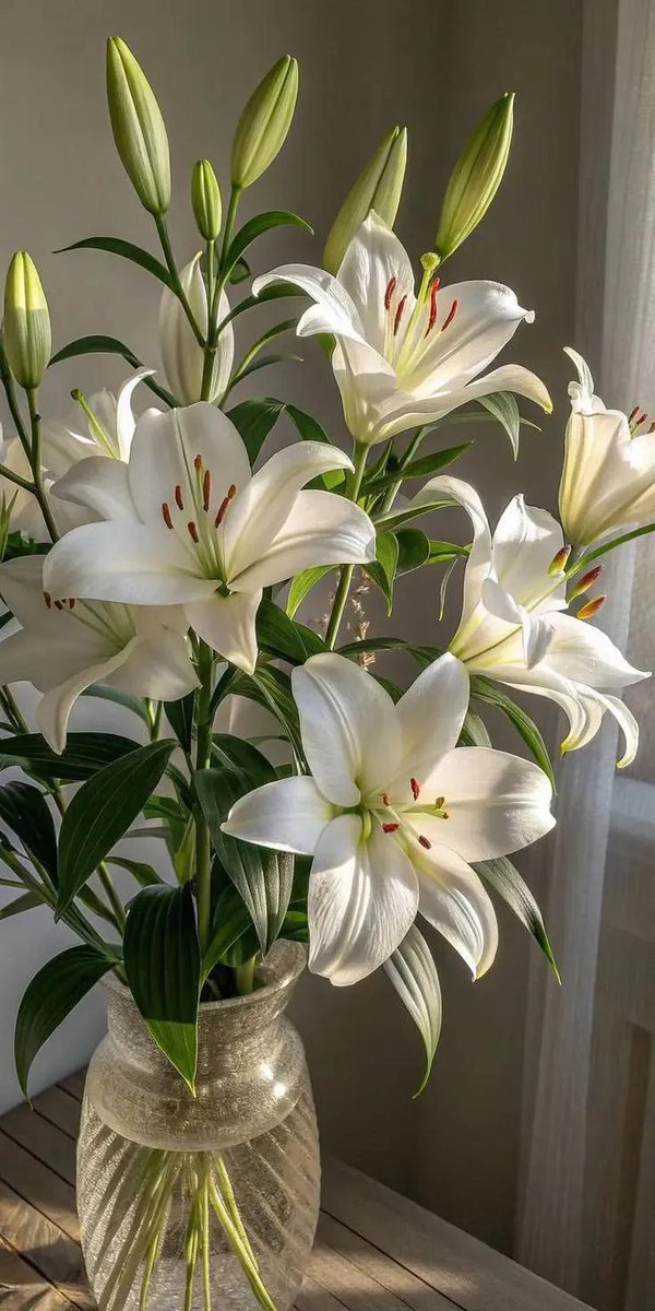 Soft Petals tweet media