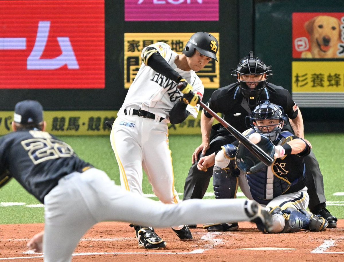 西スポWEB OTTO! タカ番がつぶやくソフトバンクホークス最新情報・裏情報 tweet media