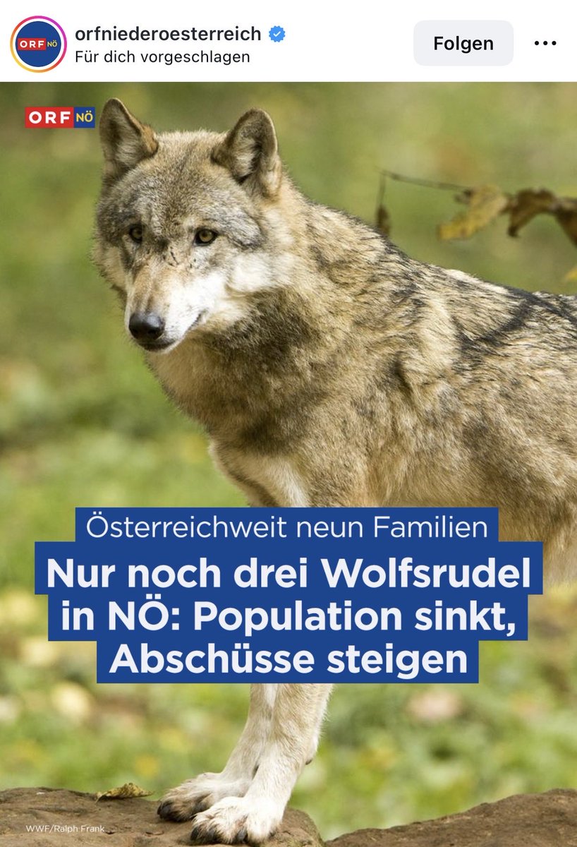 Fabian Pimminger tweet media
