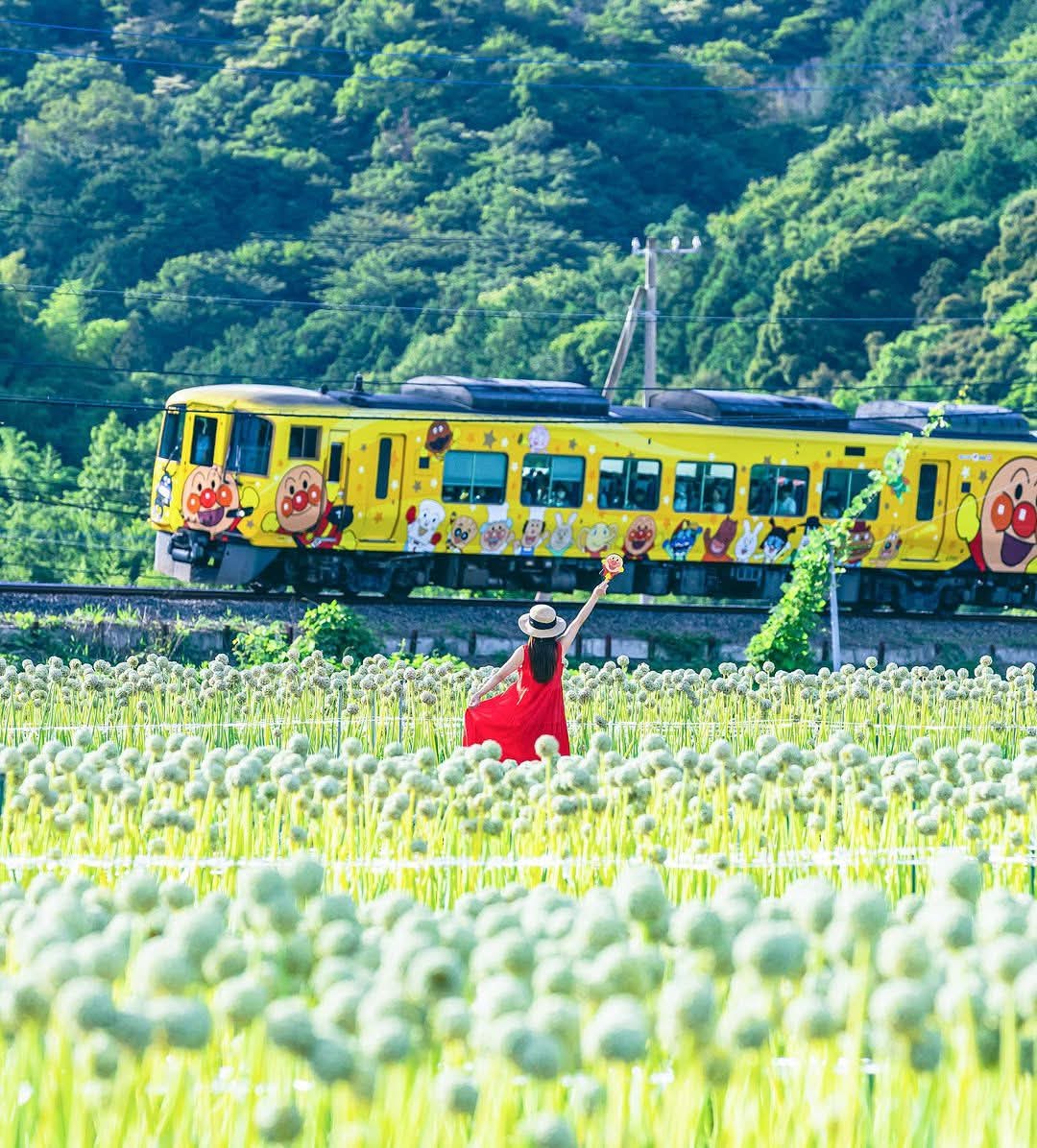 ✝️NOA🇯🇵 tweet media