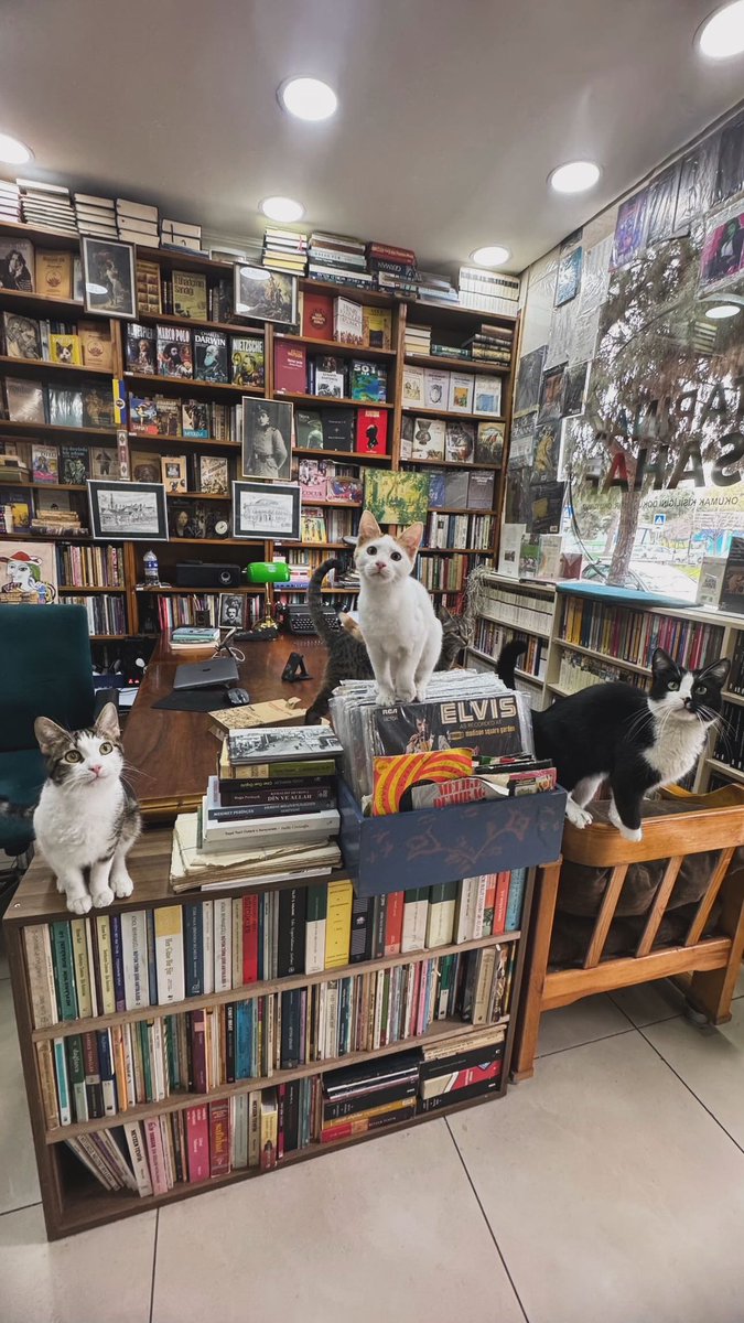 Tapınak Sahaf tweet media