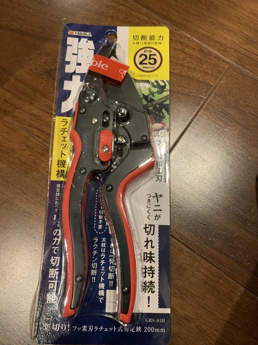 ぱんだちゃん🐼 tweet media