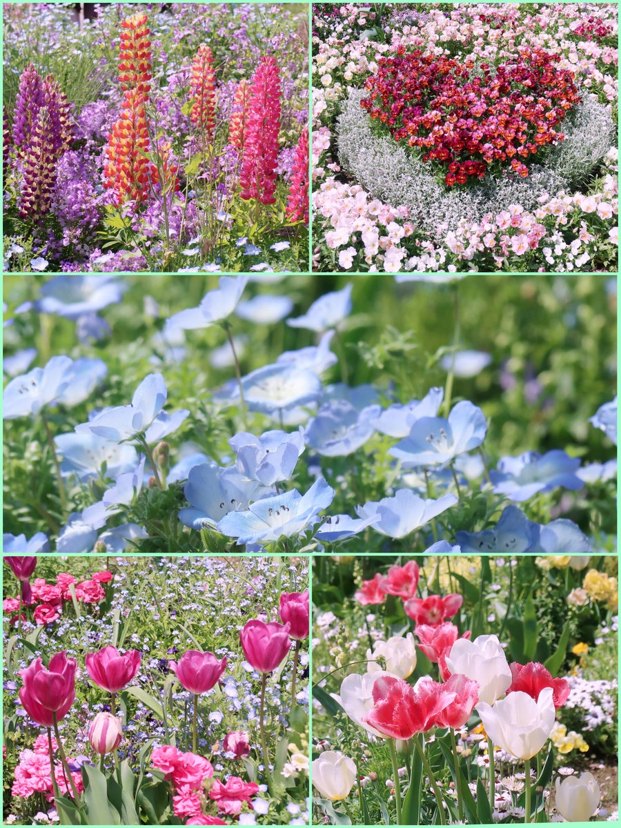 はちはち tweet media