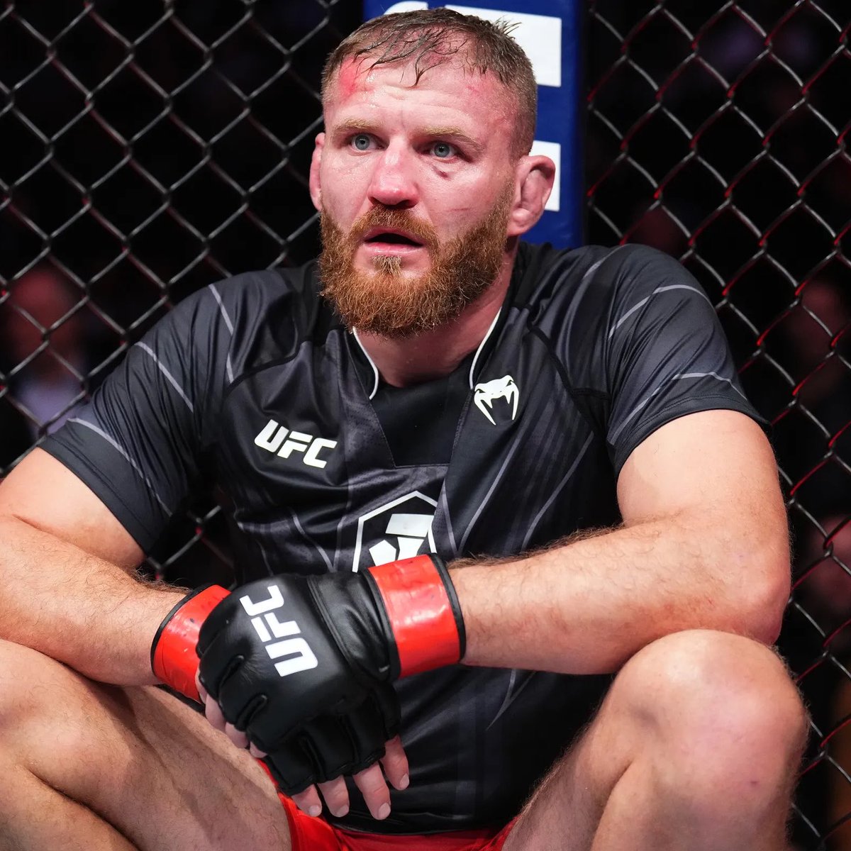 MMA Orbit tweet media
