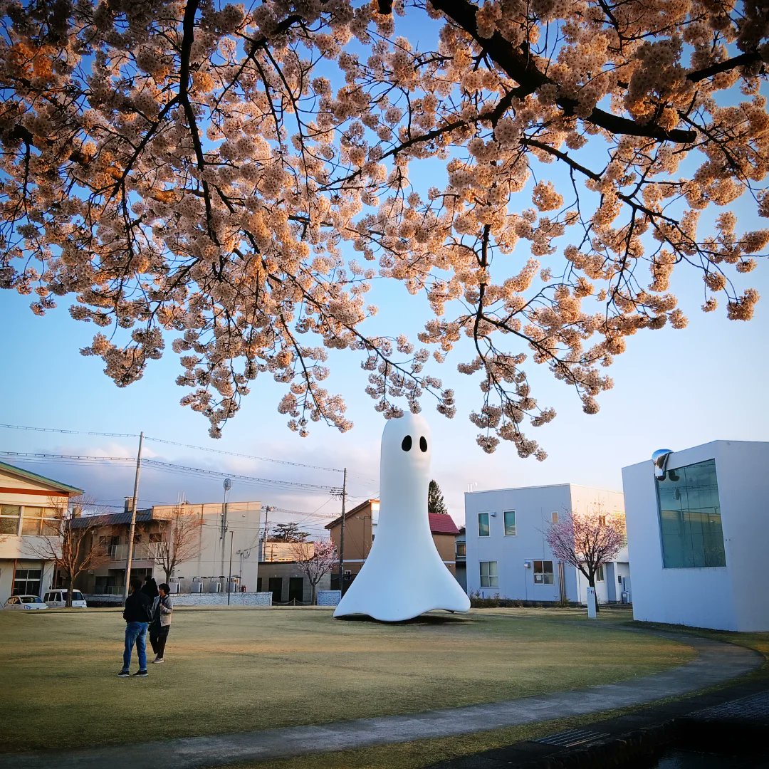 十和田散歩中🌸