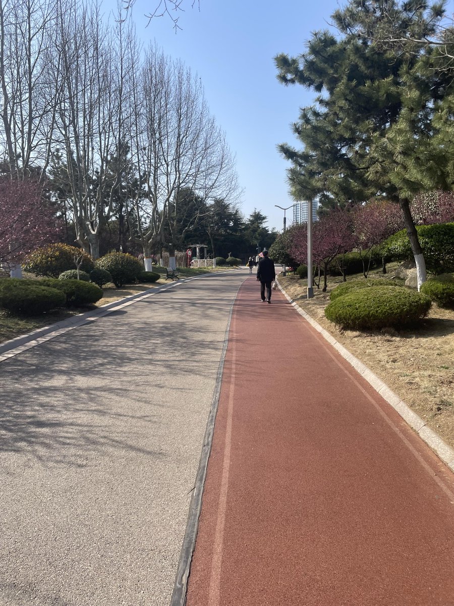 Priscilla Orozco tweet media