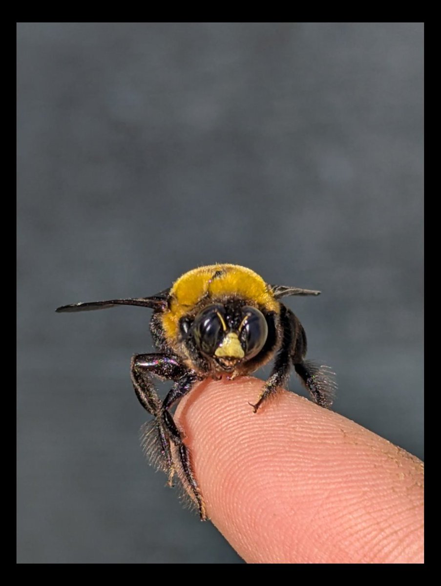 ちゅだ tweet media